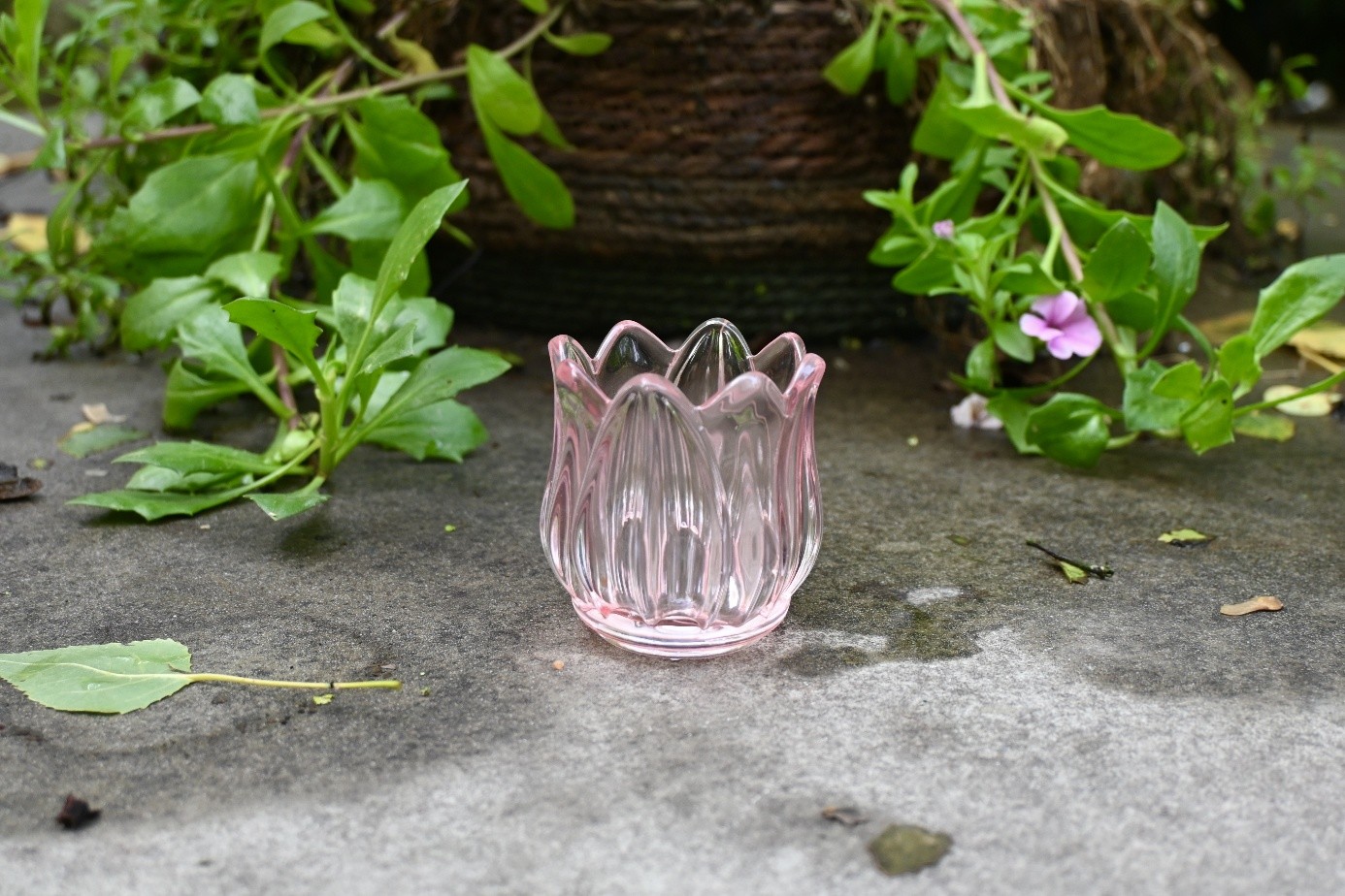 Theelicht in glas lichtroze tulpvorm