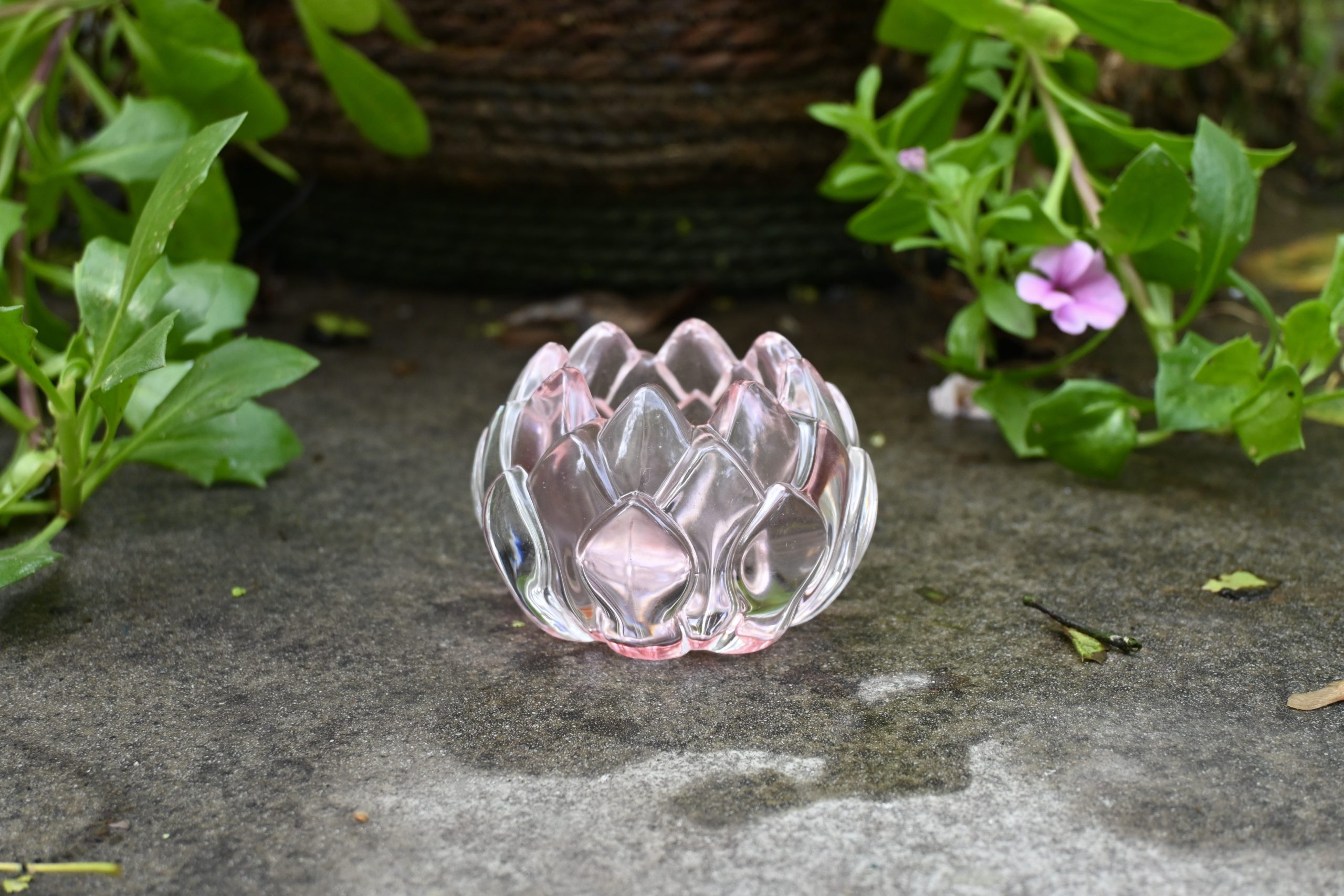 Theelicht in glas roze waterlelie