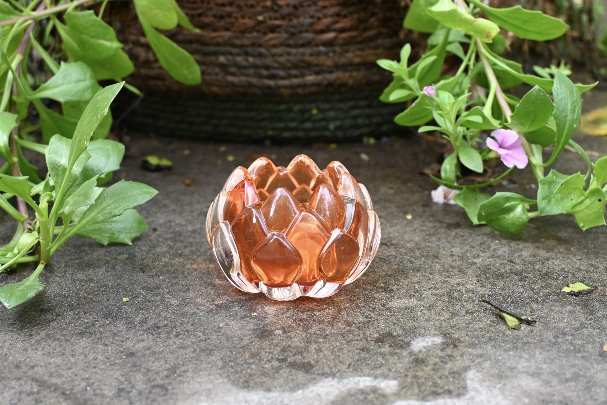 Theelicht in glas oranje waterlelie